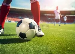 利兹联对阵,阿森纳第,马丁内利梅,澳客官方网,澳客网,澳客,okooo