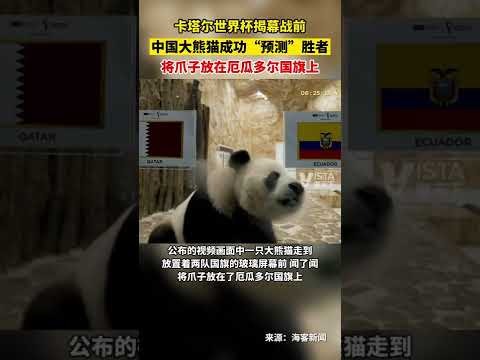 中超首轮,浙江队挑战,大连英博队,澳客官方网,澳客网,澳客,okooo