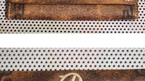 体育快报：赛事精彩解说汇编，公益休闲体育深度解析